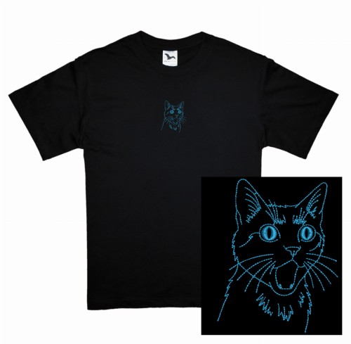 niebieski kot szymek wow1.jpg