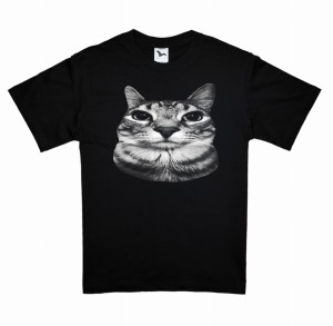 Koszulka serious cat nadruk