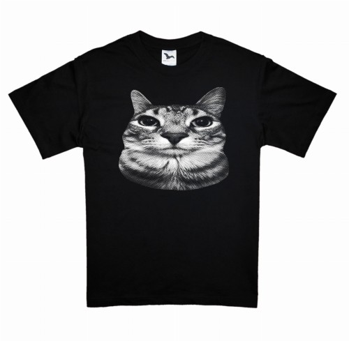 koszulka serious cat.jpg