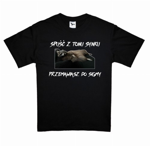 przemawiasz do sigmy.jpg